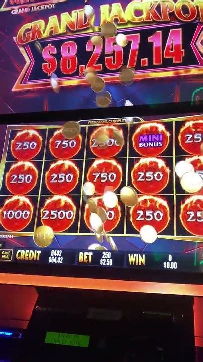 massive pokie wins